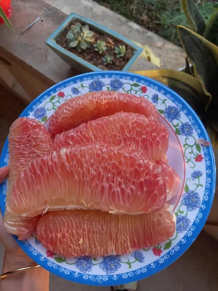 Fresh Green Skin Pomelo Top Quality Red Sweet Fresh Pomelo from Vietnam Best Price For Wholesale