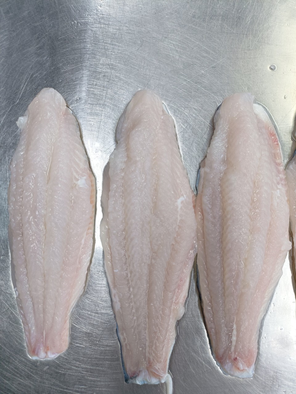 Wholesale Price OEM IQF Frozen Pangasius Bocourti Basa Dory/Patin/Sutchi Fillets Well-trimmed From Vietnam