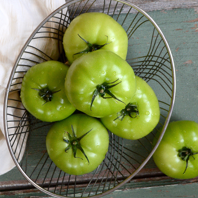 Cheap Price Fresh Oganic Green Tomatoes