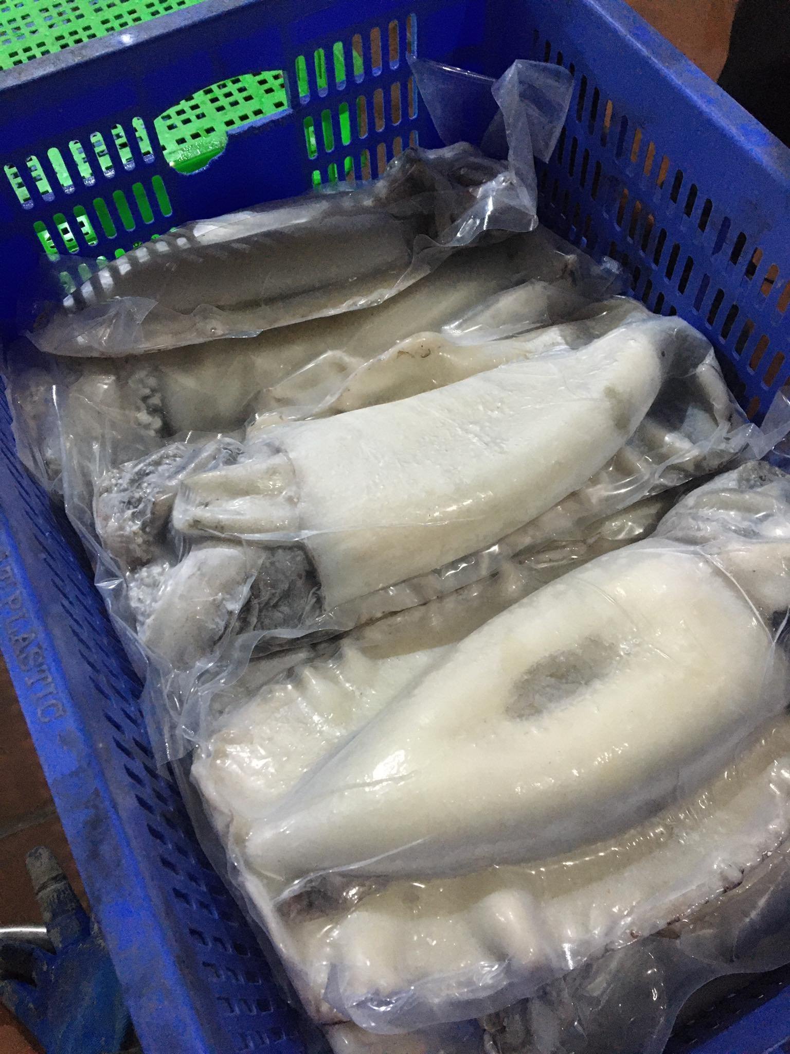 Best Quality Raw Frozen Cuttlefish Vietnam Squid A Grade Good Price