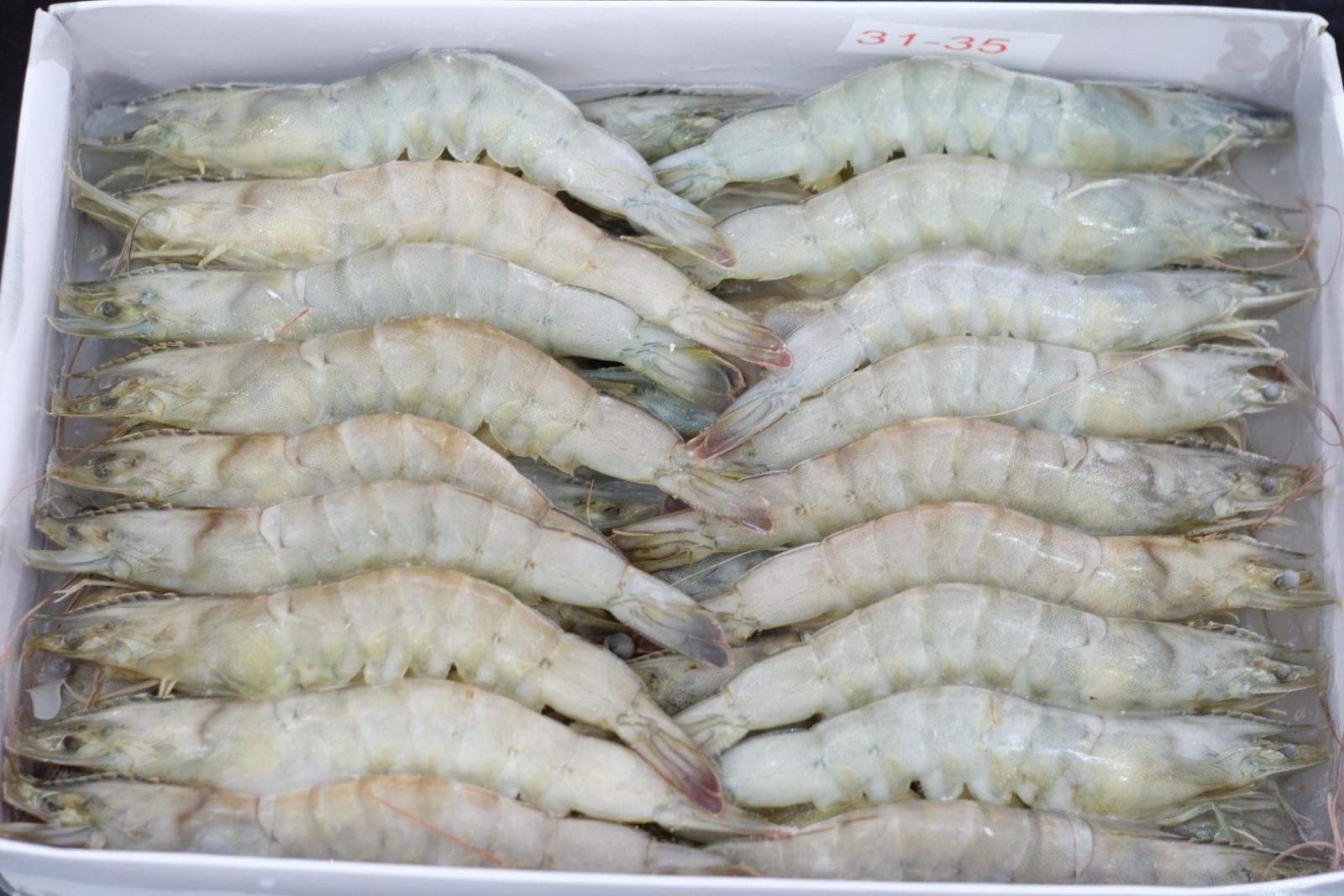 Frozen White Shrimp Wholesale Top Selling Seafood Vietnam Origin Raw Unpeeled Headless Frozen Vannamei Shrimp