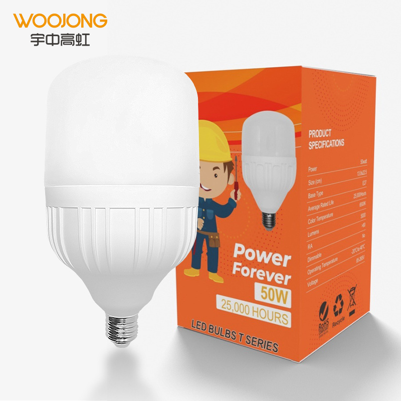 WOOJONG hot sales Flat Head T Shape LED Bulb High Power LED Light Bulb 20W 30W 40W 50W 60W 80W 100W