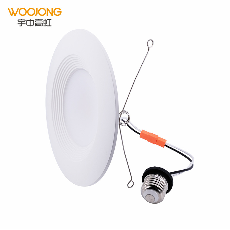 Woojong high quality Surface Mounted LED Down Lighting 5w 10w 20w 30w 40w Motion Sensor Led Recessed  Downlight