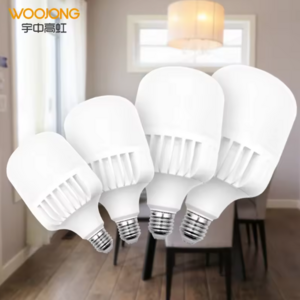 Woojong T80 T100 T120 T140 led lighting led bulbs T types T bulbs with good quality