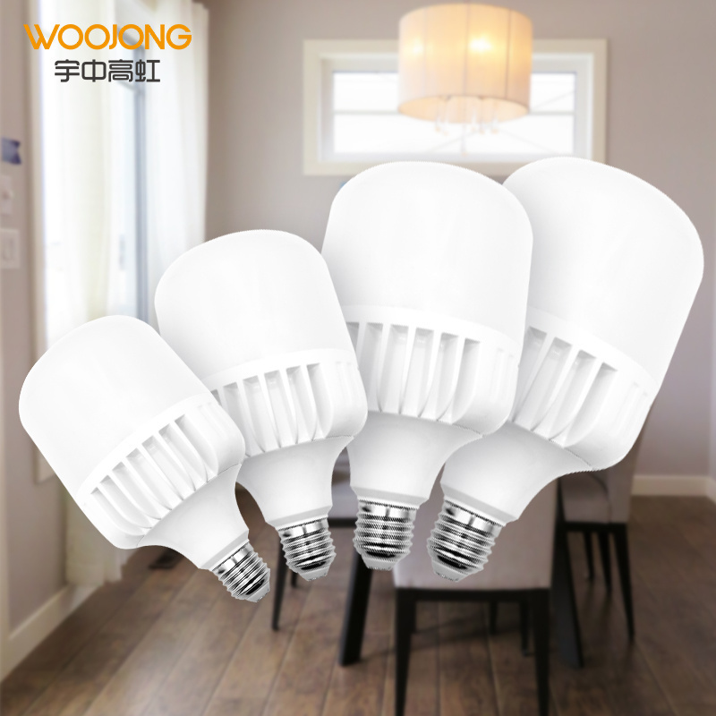 WOOJONG t bulb housing 20W/30W/40W/50W 170-264V die casting aluminum led rechargeable T type bulb