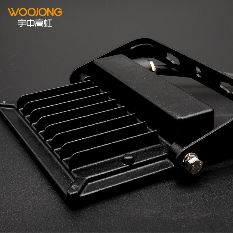 Woojong hot sale indoor led light factory price CRI80 3000K/4000K/6500K  30W/50W/70W/100W LED flood light