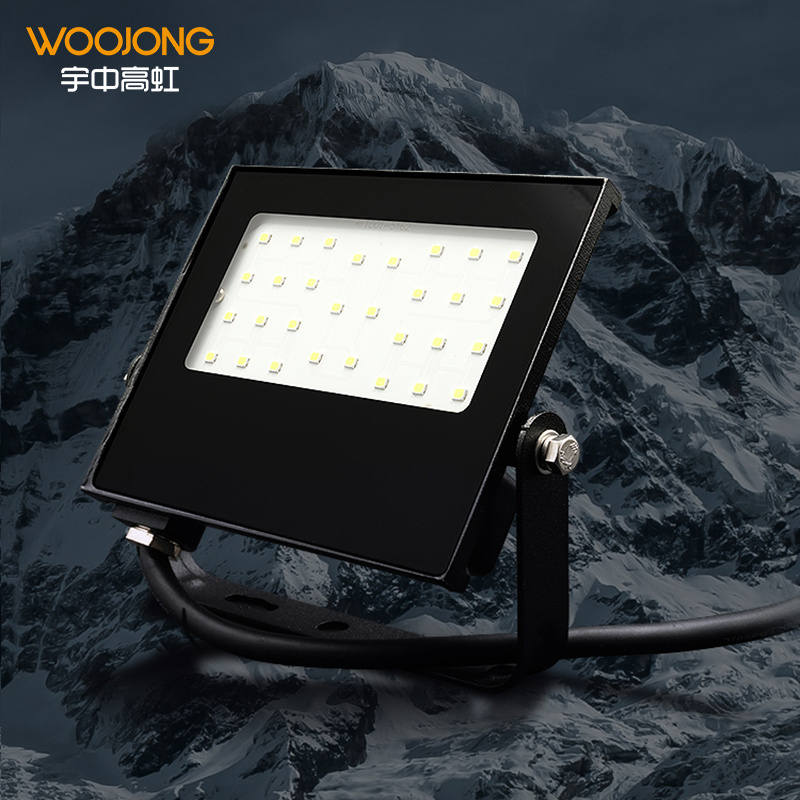 Woojong High Brightness factory price Indoor LED Luminaire SMD 30W/50W/70W/100W CRI80 3000K/4000K/6500K LED  flood light