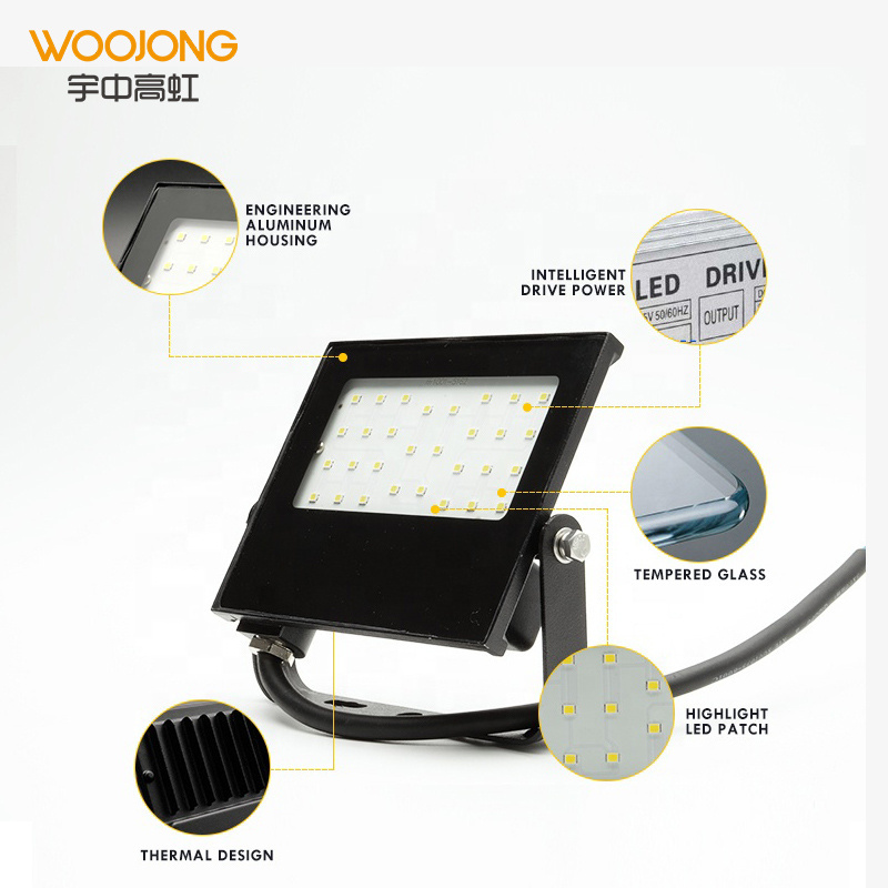 Woojong hot sale indoor led light factory price CRI80 3000K/4000K/6500K  30W/50W/70W/100W LED flood light