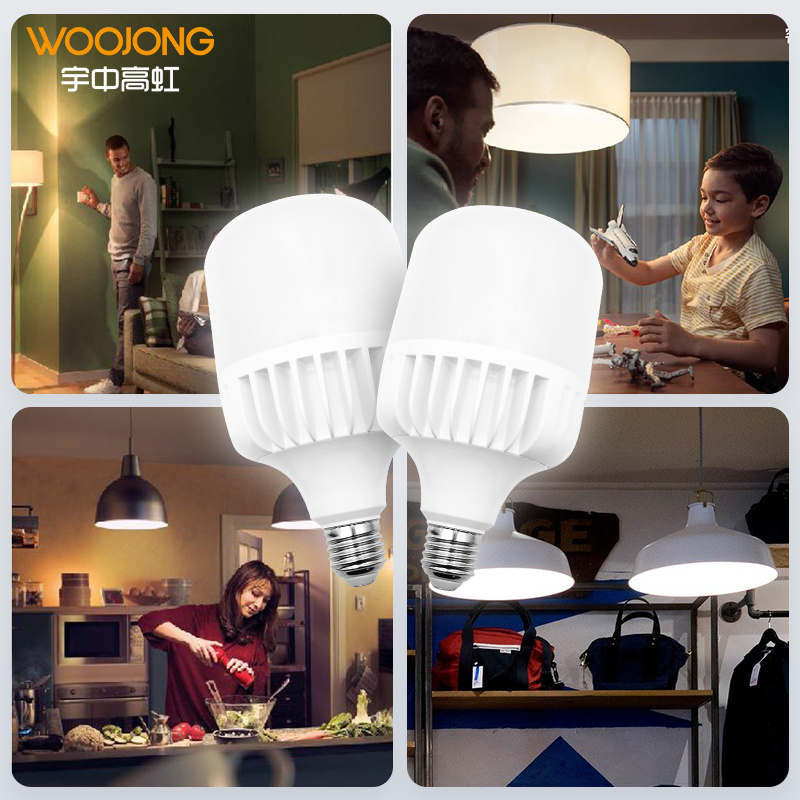 WOOJONG t bulb housing 20W/30W/40W/50W 170-264V die casting aluminum led rechargeable T type bulb