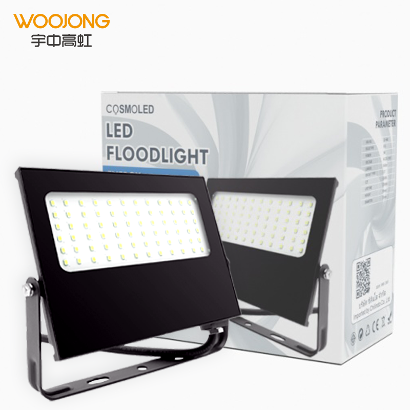 Woojong High Brightness factory price Indoor LED Luminaire SMD 30W/50W/70W/100W CRI80 3000K/4000K/6500K LED  flood light