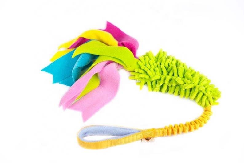 Puppy Dog Interactive Chew Toy Bungee Handle Durable Dog Tug Toys Mop Toy For Dogs