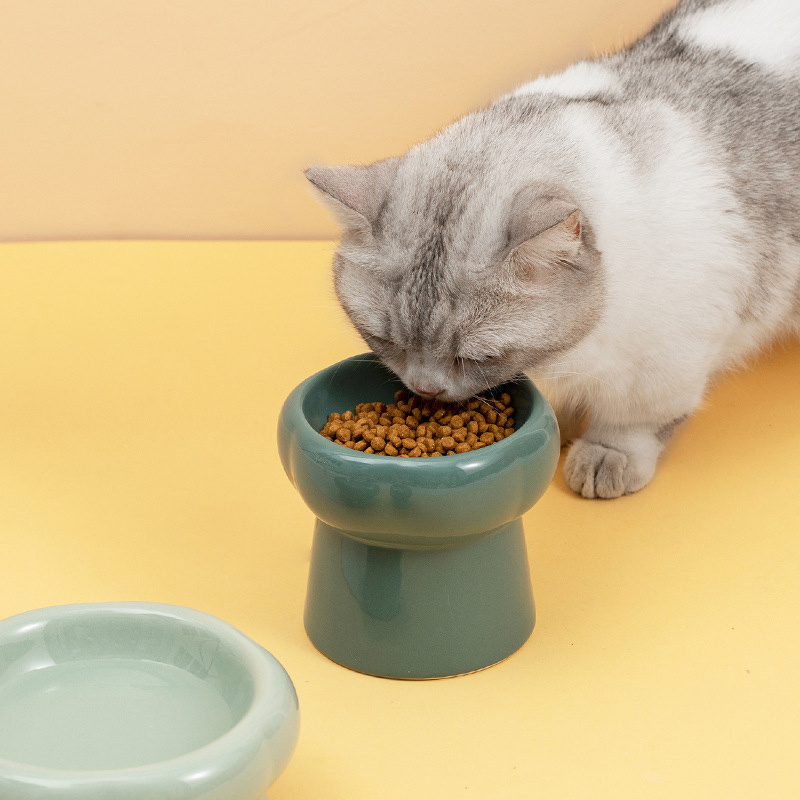 Wholesale Elevated  Pet Feeder Bowl Cat Dog Bowls Ceramic Bowls Raised Feeder for Pet