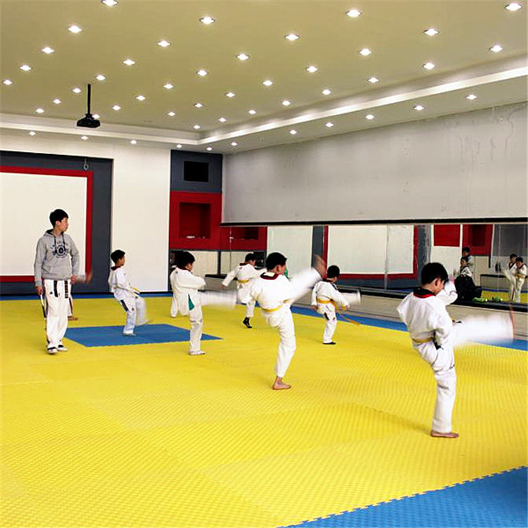 Cheap eva foam gym mat mats for taekwondo karate judo tatami mat