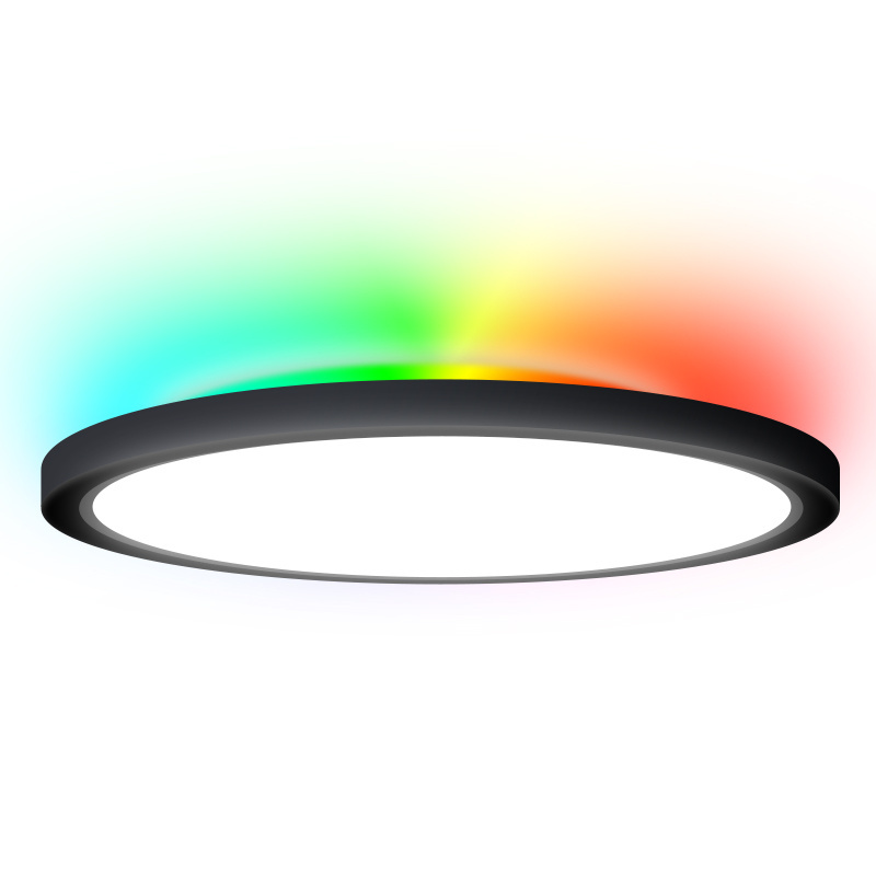 Worbest Flush Mount Remote Control Round LED Ceiling Light 12 Inch 20W 2700-5000K RGB Overhead Light Fixture for Kitchen