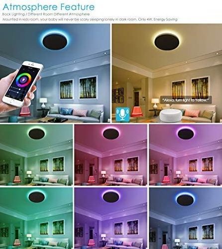 Worbest Certification ETL 12inch 23W Smart LED Ceiling Light 2700K-5000K Adjustable White RGB Interact Night Lamp for Indoor