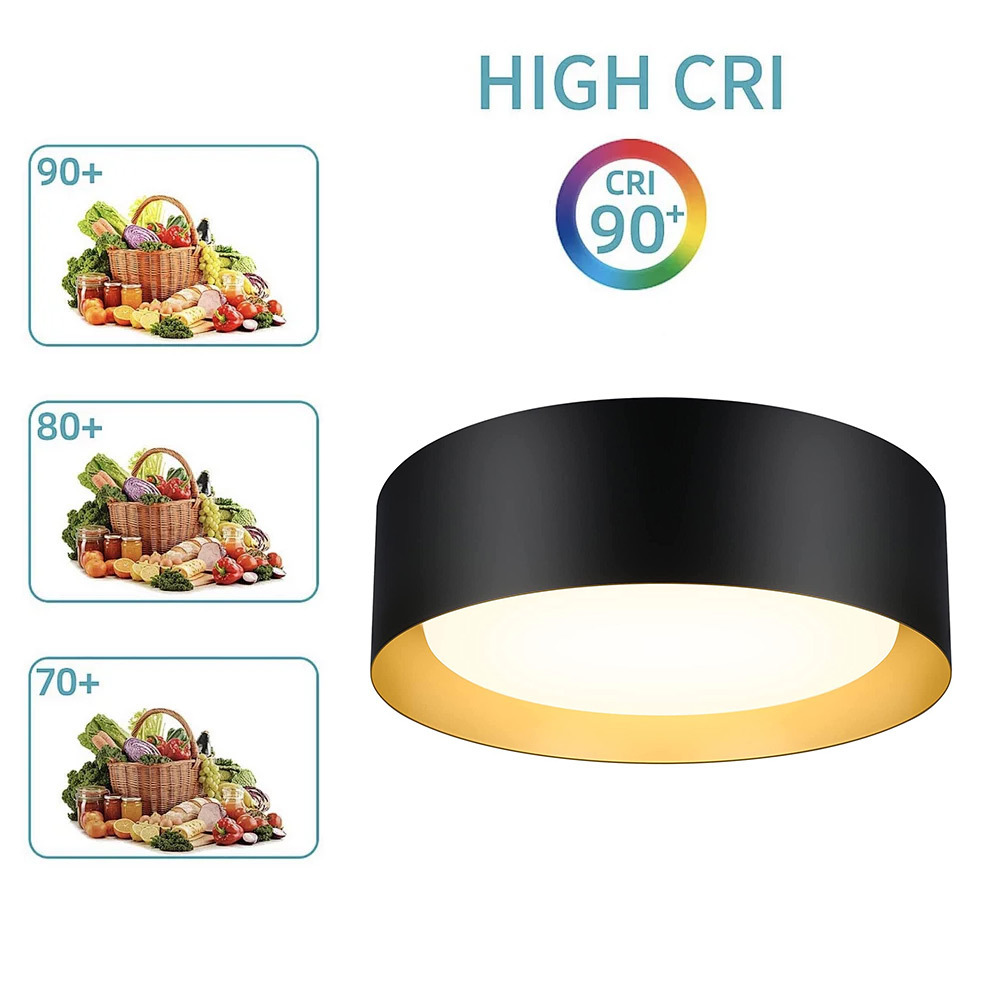 China Guangdong factory 13inch 5cct tunable led flush mount 15w led home ceiling lamp with ETL