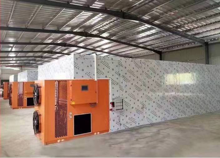 Tray Drying Room SS 304 Heat Pump Dryer SS304 Chamber Evaporator Preservative Fruits Vegetables Fish Ginger Mango