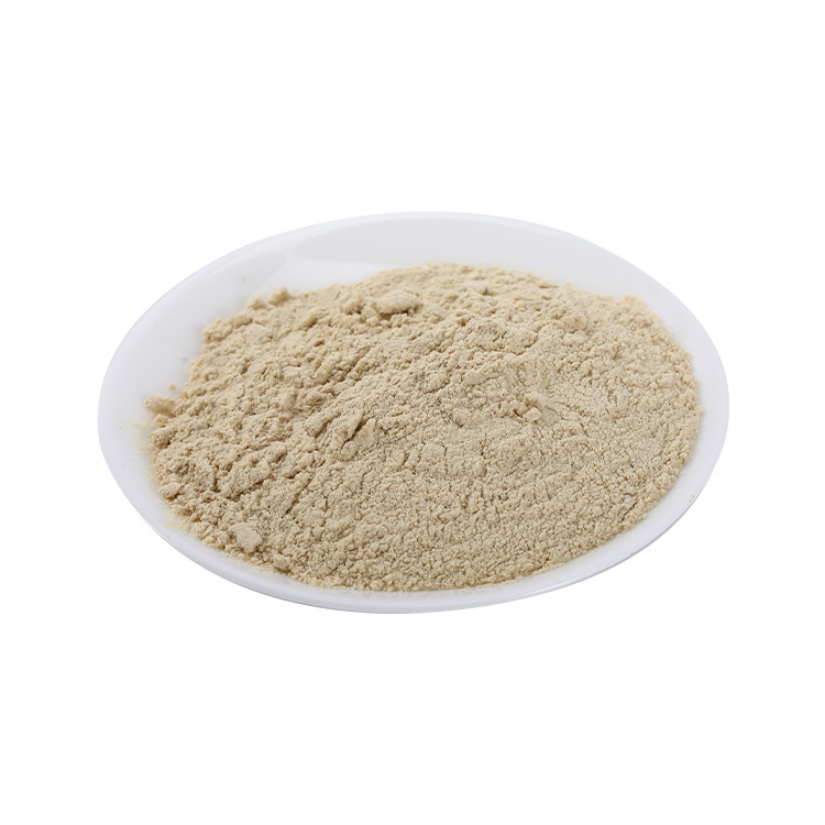 Worldful Amino Acid Powder 35% Animal Source, Stimulate Plant Growth, Bio Organic Fertilizer