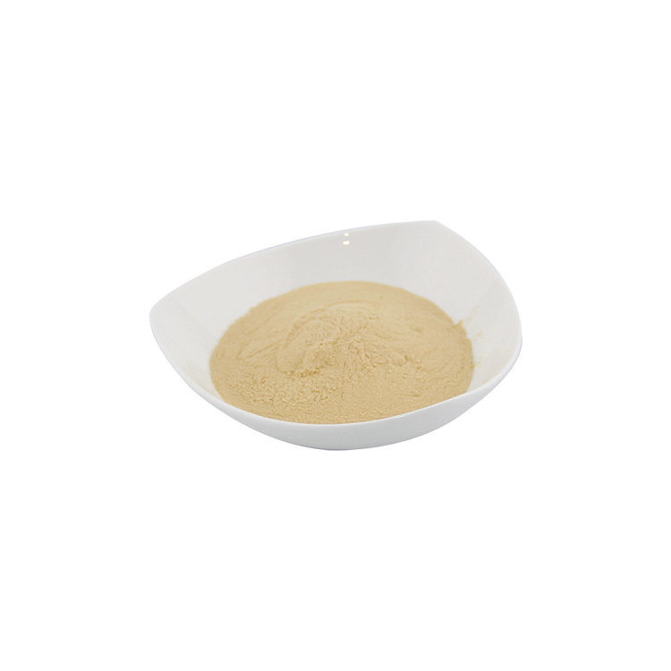 Worldful Amino Acid Powder 35% Animal Source, Stimulate Plant Growth, Bio Organic Fertilizer