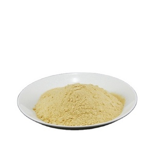 Worldful Amino Acid Powder 35% Animal Source, Stimulate Plant Growth, Bio Organic Fertilizer