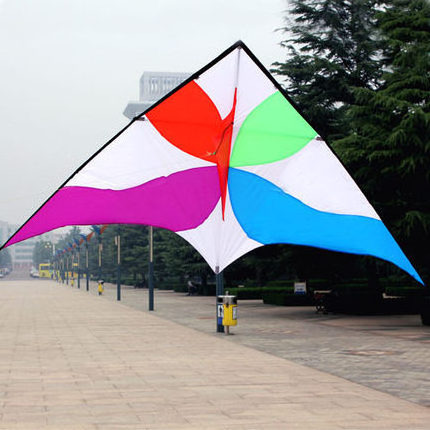 2.5m large nylon delta Kite for sale