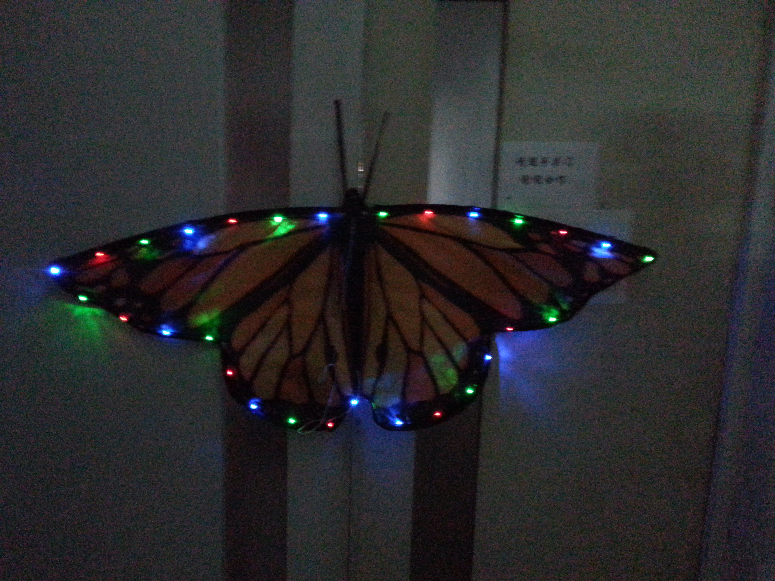 Led kites and cheap Led kites for selling