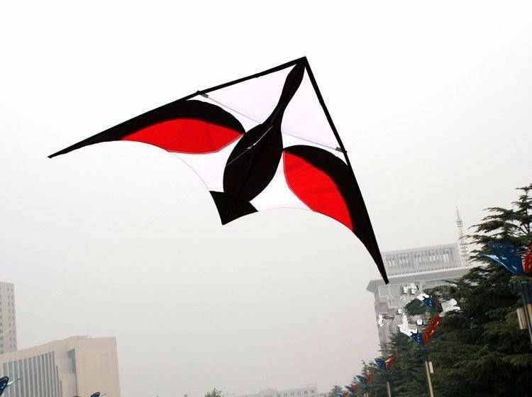 High quality outdoor big  swan delta kite for sale