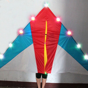 New funny delta LED kite