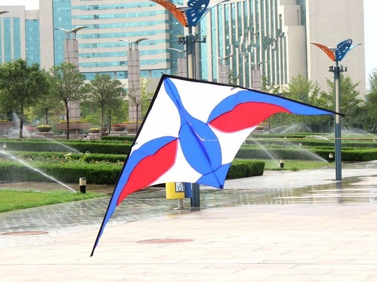 High quality outdoor big  swan delta kite for sale