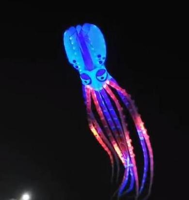 10m Led octopus light kites with 396 led light