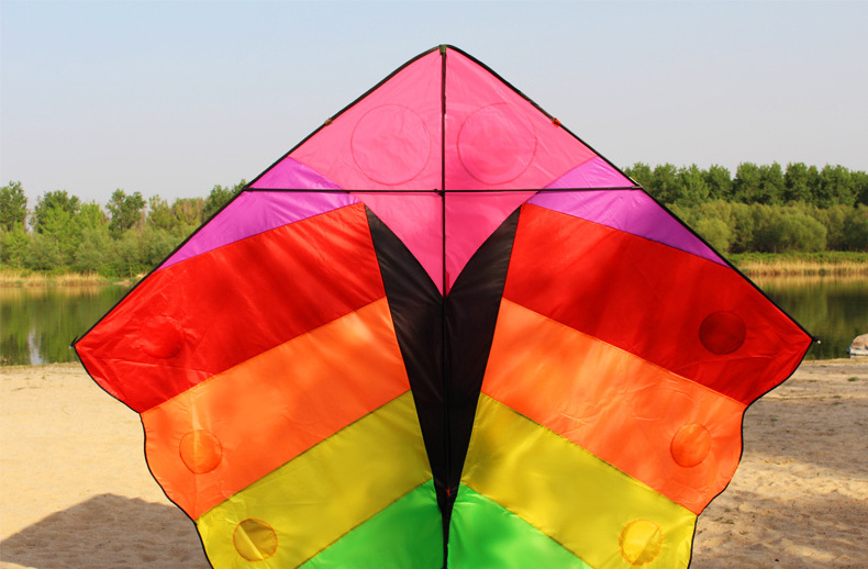 big rainbow fish kite for sale