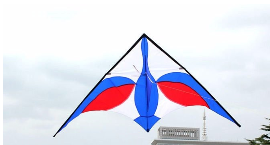 High quality outdoor big  swan delta kite for sale