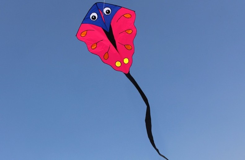 big rainbow fish kite for sale