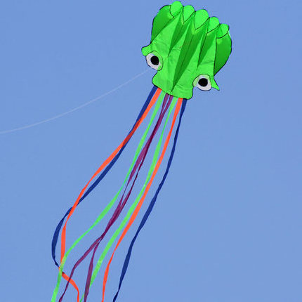 5.5m big size octopus kite for sale