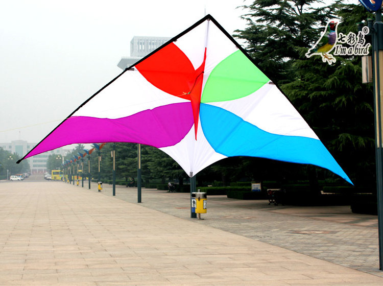 2.5m large nylon delta Kite for sale