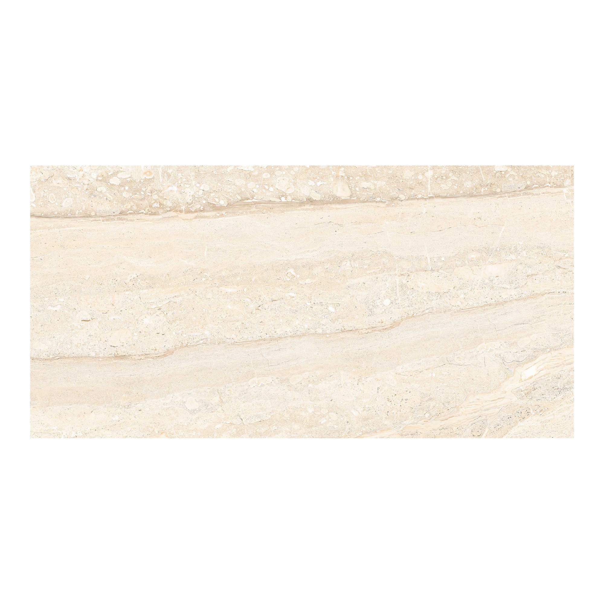 Fiandre Maximum Calacatta Staturario Size 80x160cm Large format tile marble look white big slabs sizes 90x180cm 120x240cm