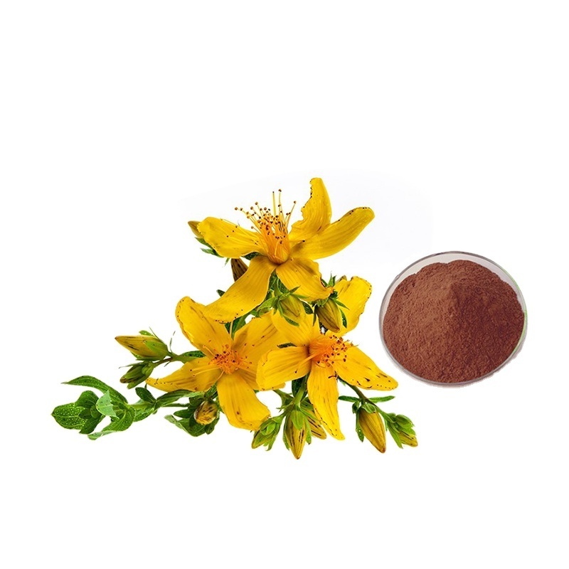 Hypericum Perforatum L St JohnS Wort Extract Hypericin 0.3% Saint JohnS Wort Flower Extract