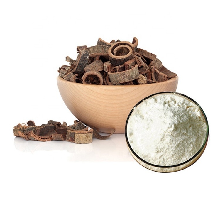 FREE Sample! High Purity China factory price magnolia bark curl magnolia extract Magnolia Bark Extract Honokiol 98%