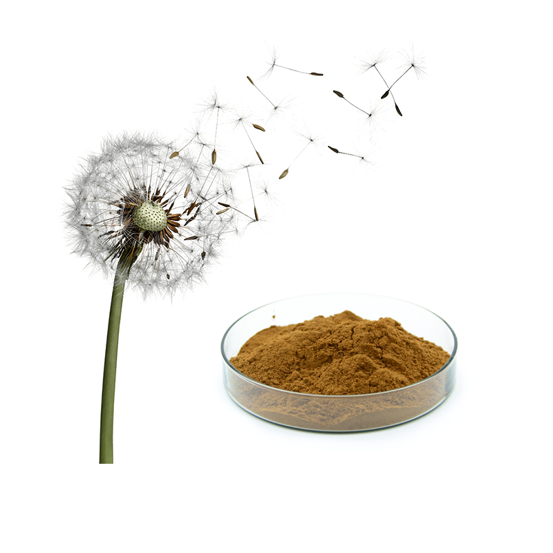 Botanical Herbal Dandelion Root Extract Powder  5% Taraxacum Flavonoids  Dandelion Root Tea Cosmetics Food