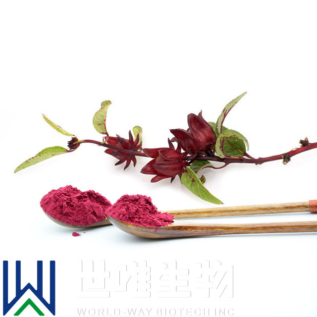 Free sample !2022 new  hot product Plant extract manufacturer  Hibiscus flower Roselle calysx rose extract powder