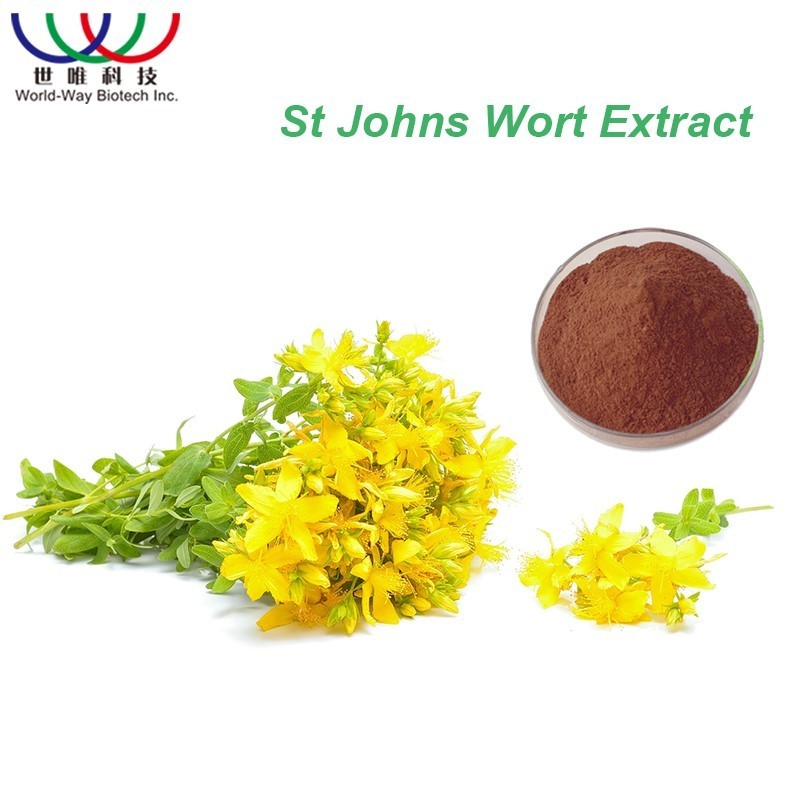 Hypericum Perforatum L St JohnS Wort Extract Hypericin 0.3% Saint JohnS Wort Flower Extract