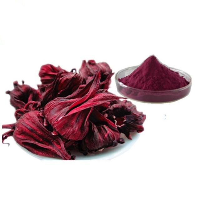 Free sample !2022 new  hot product Plant extract manufacturer  Hibiscus flower Roselle calysx rose extract powder