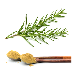 Original Rosemary Leaf Extract 5% Carnosic acid by HPLC;25% Rosmarinic acid by HPLC;5%-50% Ursolic acid by HPLC