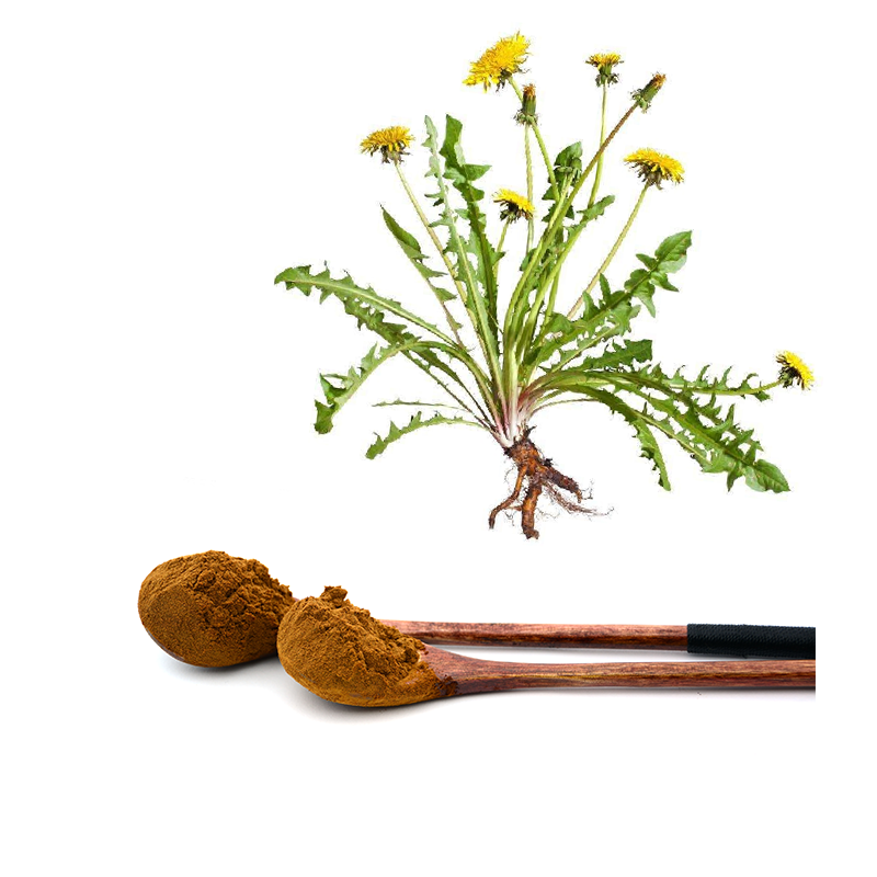 Botanical Herbal Dandelion Root Extract Powder  5% Taraxacum Flavonoids  Dandelion Root Tea Cosmetics Food