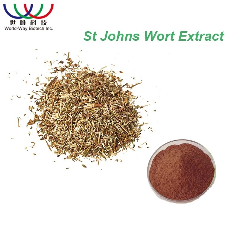 Hypericum Perforatum L St JohnS Wort Extract Hypericin 0.3% Saint JohnS Wort Flower Extract