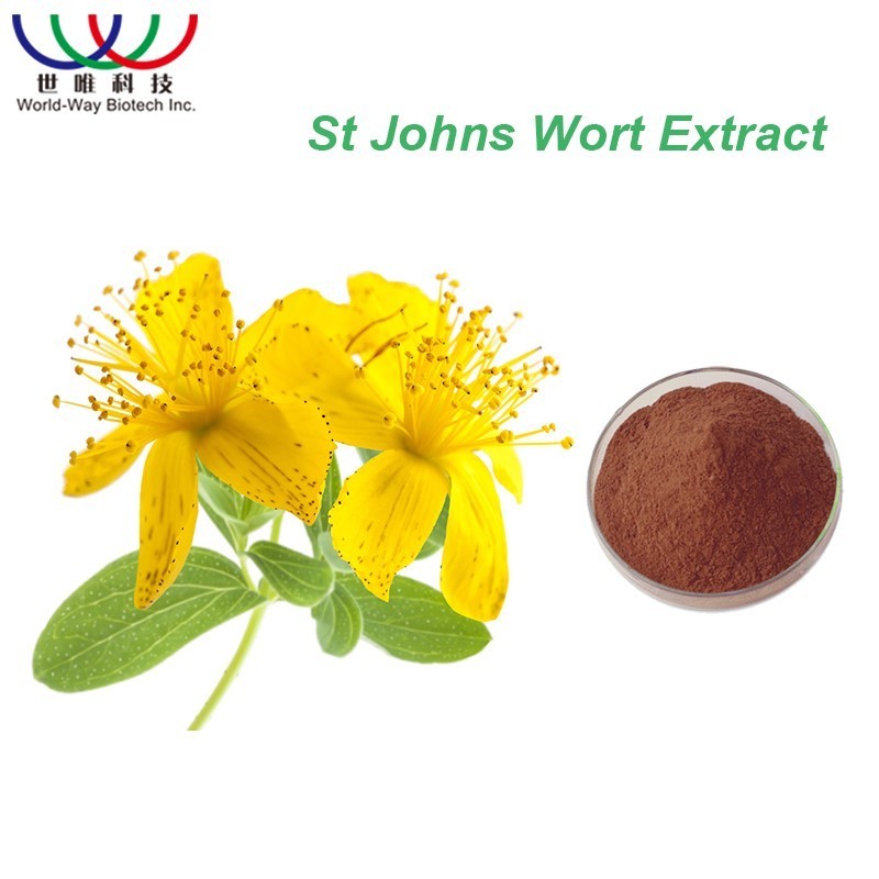 Hypericum Perforatum L St JohnS Wort Extract Hypericin 0.3% Saint JohnS Wort Flower Extract