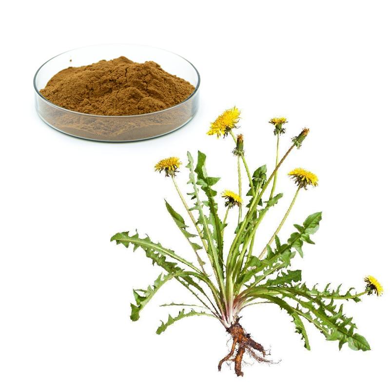 Botanical Herbal Dandelion Root Extract Powder  5% Taraxacum Flavonoids  Dandelion Root Tea Cosmetics Food