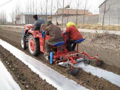 2 rows Potato Planter /Ginger seeder made in china