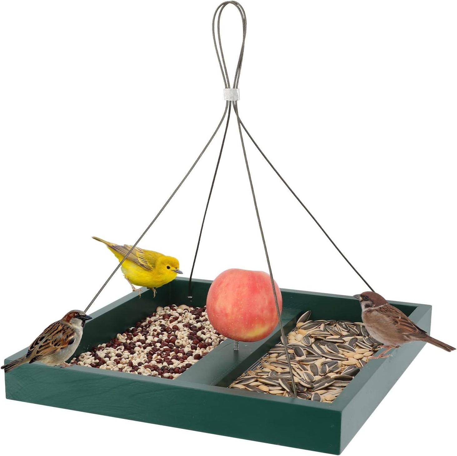 Cheap Modern Garden Wooden Hanging Humming Automatic Squirrel Bird Seed Feeder Outdoor For Sale