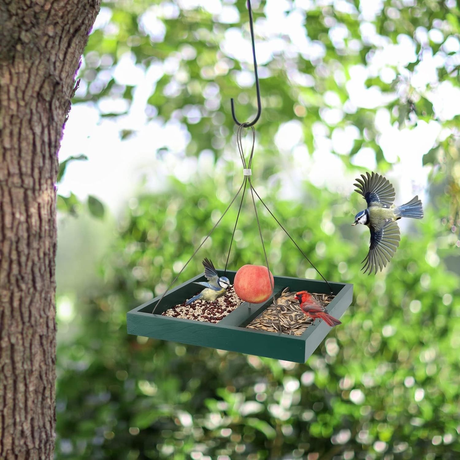 Cheap Modern Garden Wooden Hanging Humming Automatic Squirrel Bird Seed Feeder Outdoor For Sale